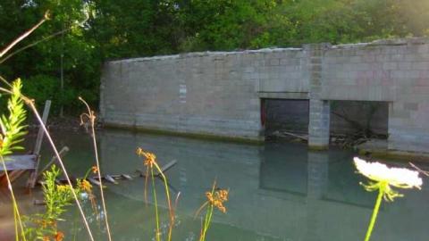 Swimming Hole - River-Townline-Swimming-Hole2.jpg