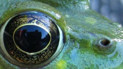 Swimming Hole - River-Townline-Swimming-Hole4.jpg