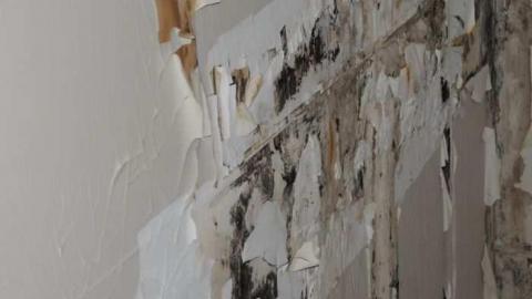 Photo from 401 gas stop 11/13/2010