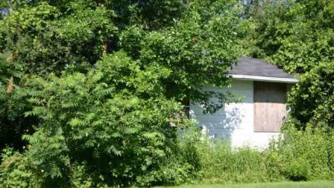 X Marks the Spot photo 5