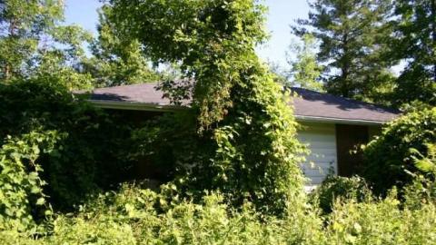 X Marks the Spot photo 3