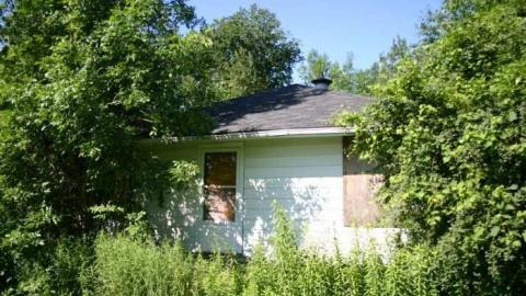 X Marks the Spot photo 4