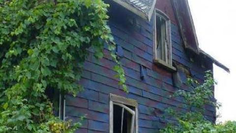 Photo from Coloured In