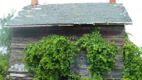 Coloured In - Way-before-I-was-born43.jpg