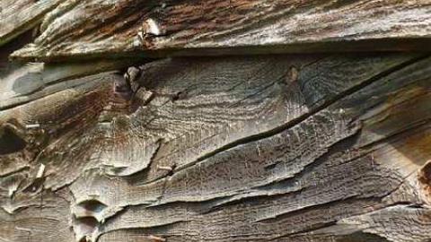 Coloured In - Way-before-I-was-born45.jpg