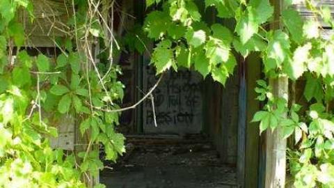 Photo from Coloured In