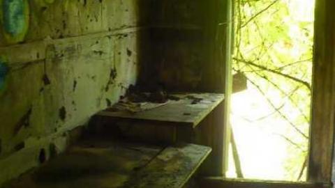 Coloured In - Way-before-I-was-born46.jpg