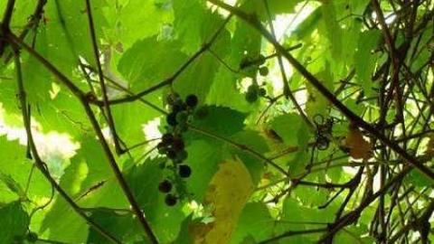 Coloured In - Way-before-I-was-born53.jpg