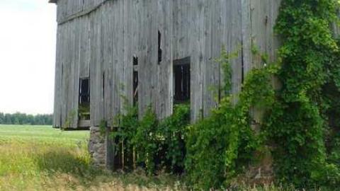 Coloured In - Way-before-I-was-born55.jpg