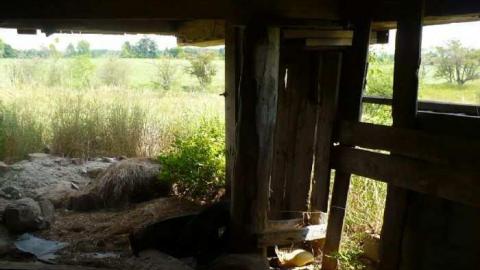 Coloured In - Way-before-I-was-born57.jpg