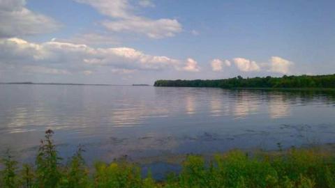 asylum beach - Huronia-Regional-Centre9.jpg