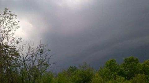 asylum beach - Huronia-Regional-Centre10.jpg