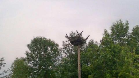 asylum beach - Huronia-Regional-Centre11.jpg