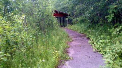 asylum beach - Huronia-Regional-Centre5.jpg