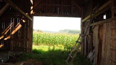 4140 hwy 61 - HWY-61-House-412.jpg