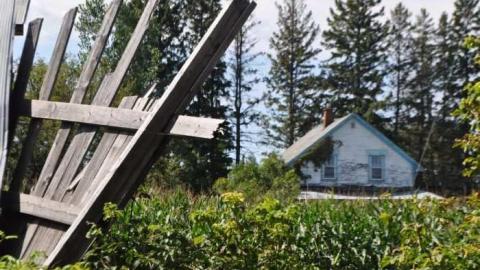 4140 hwy 61 - HWY-61-House-45.jpg