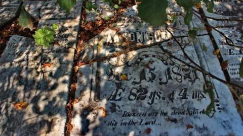 Last Stop - Sutton-Pioneer-Cemetery8.jpg