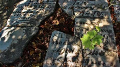 Sutton Pioneer Cemetery photo 5