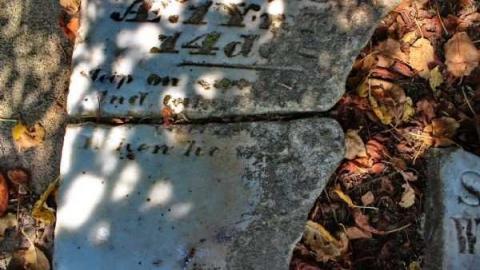 Last Stop - Sutton-Pioneer-Cemetery6.jpg