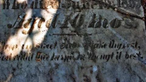 Sutton Pioneer Cemetery photo 2