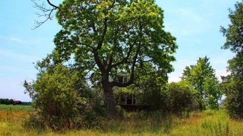 Holes !!  cover photo