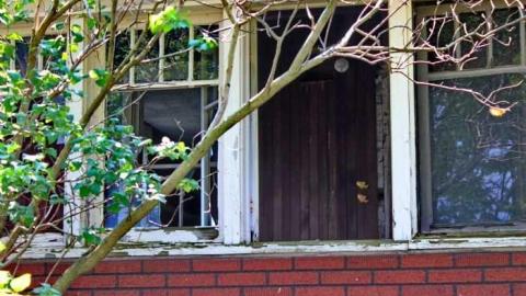 Holes !!  - Holey-Plow!5.jpg