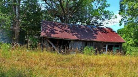 Holes !!  - Holey-Plow!2.jpg