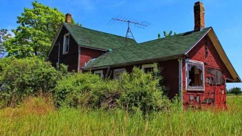 Holes !!  - Holey-Plow!3.jpg