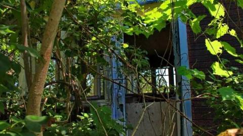 Holes !!  - Holey-Plow!6.jpg