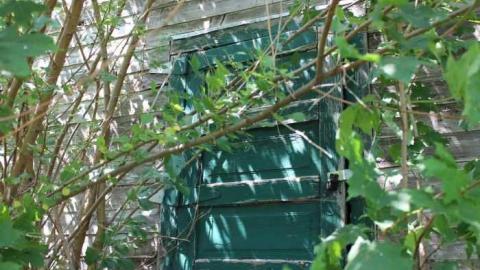 Old Dashwood area School photo 5