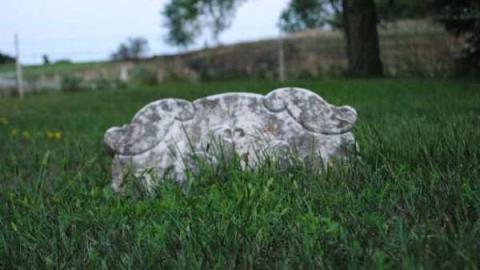 Forgotten Cemetery photo 2