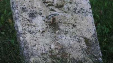 Joyceville Cemetery - Forgotten-Cemetery16.jpg