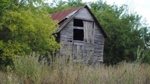 Photo from Marvelous Monday