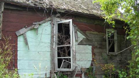 Fruit of the Vine photo 4