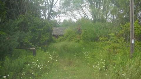 Booker Rd. - abandoned2 001.jpg