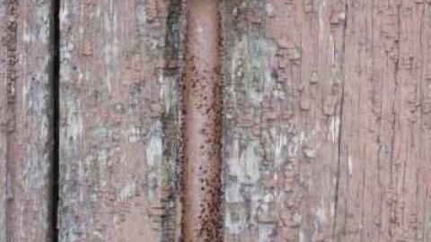 Kedron was part of Foley - Foley-(ghost-community)12.jpg