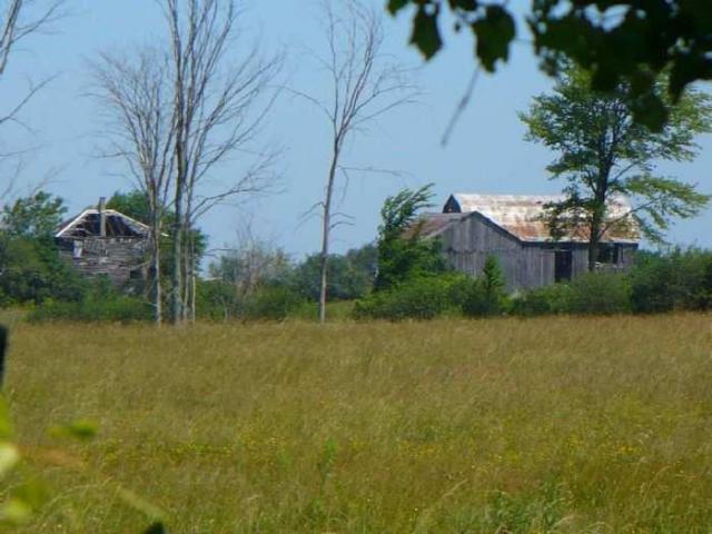 Nesbitt - P1080154.jpg