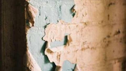 August 2012 - Neglected-Manor100.jpg