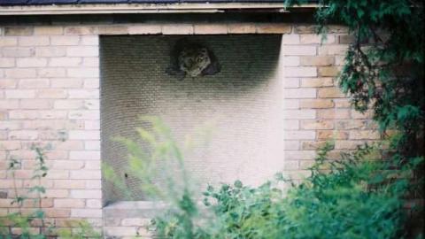 August 2012 - Neglected-Manor103.jpg