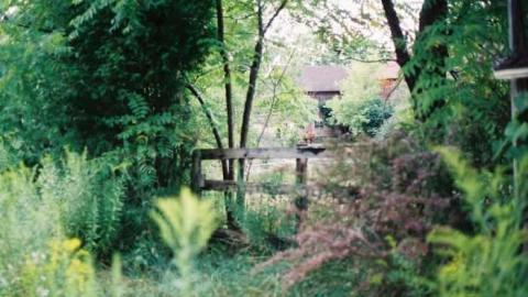 August 2012 - Neglected-Manor105.jpg