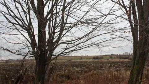 Photo from Kedron was part of Foley