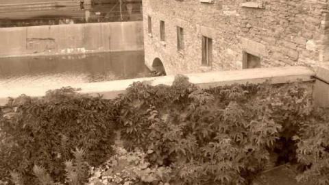 oh Lindsay - Lindsay-Grist-Mill3.jpg