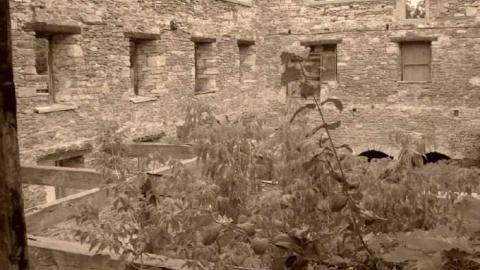 Lindsay Grist Mill photo 4