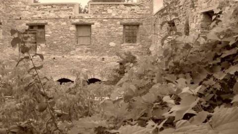 Lindsay Grist Mill photo 5