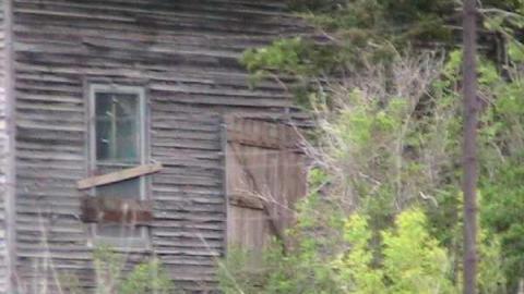 Kedron was part of Foley - Foley-(ghost-community)21.jpg