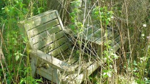 Photo from August 2012