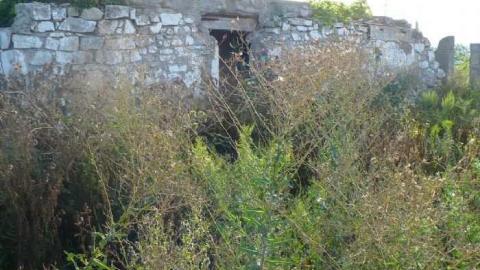 5 Line Ruins photo 3