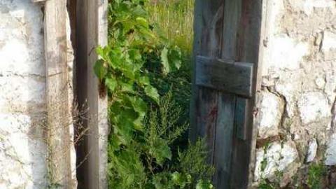 5 Line Ruins - Halton Hills, Ontario