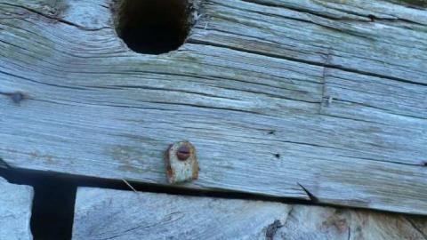 August 2012 - 5-Line-Ruins28.jpg