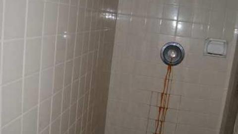 Aug/12 - DSC_1987.jpg